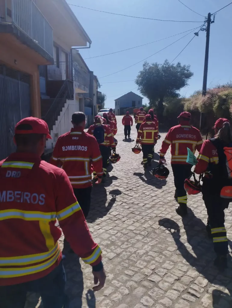 Curso de Incêndios Rurais